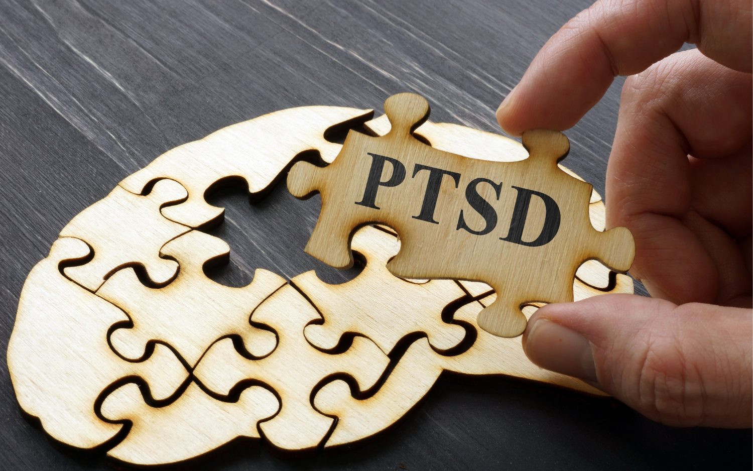 Brain shaped puzzle with one piece being held up that says PTSD