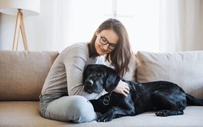 The Healing Power of the Human-Animal Bond: A Research-Based Perspective